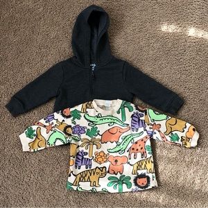 2-Pack! Baby Boys Sweatshirts Bundle